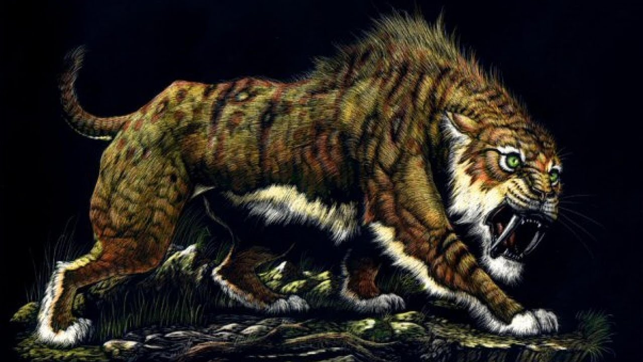 Тигр в древнем мире. Смилодон популятор. Саблезубый тигр. Доисторический тигр Саблезубый. Доисторические хищники Саблезубый тигр.