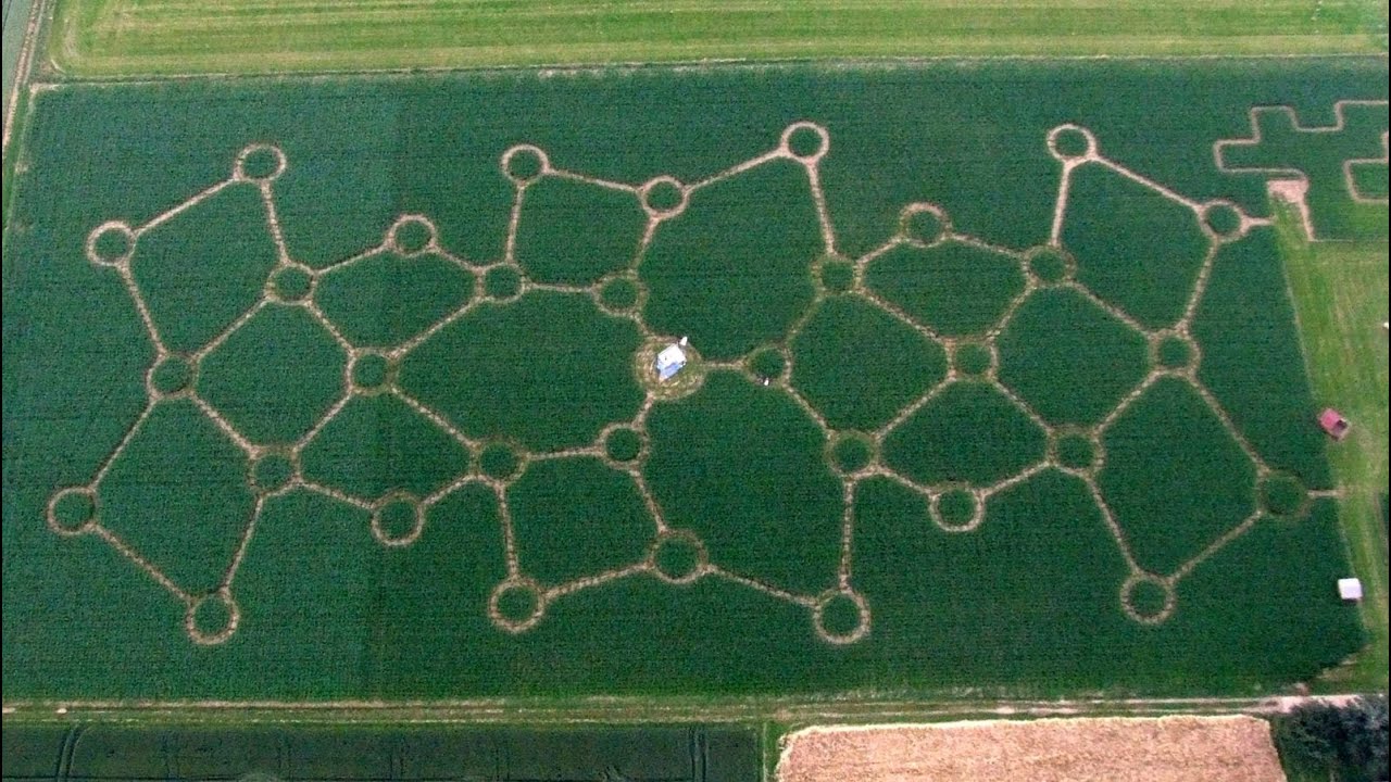 So entsteht ein Maislabyrinth