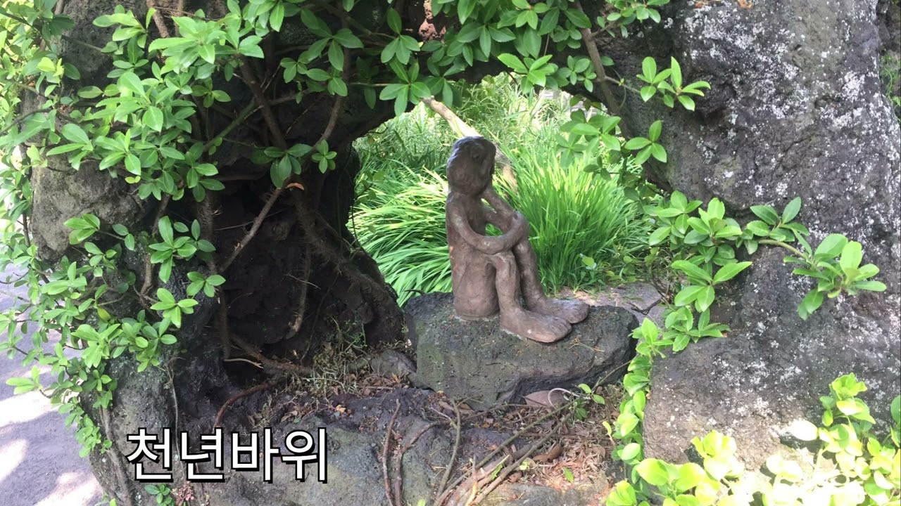천년바위 (영천팬플룻 세상)