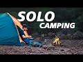 Solo camping in forest  camping  cooking in wild forest  asmr  solo camping