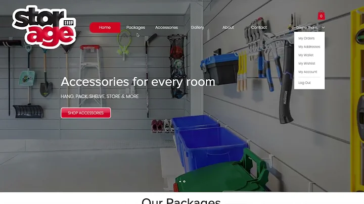 Website Vlog Series  E2 :  eCommerce Websites (The...