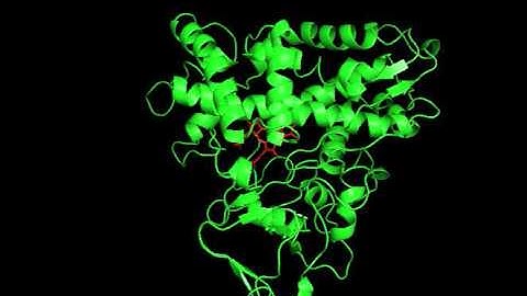 Pochapsky Lab:Detection of substrate-dependent conformational (Video 2)