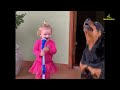 Funny Dog Compilation | 20 Minutes of Hilarious Dogs & Cute Moments😅🐶