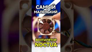 Зачем серверному железу такие маленькие вентиляторы? #noctua #server #fan #chatgpt #nvidia #pc