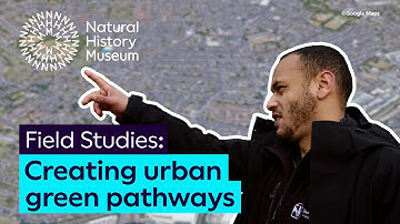 Creating urban green pathways | Field Studies