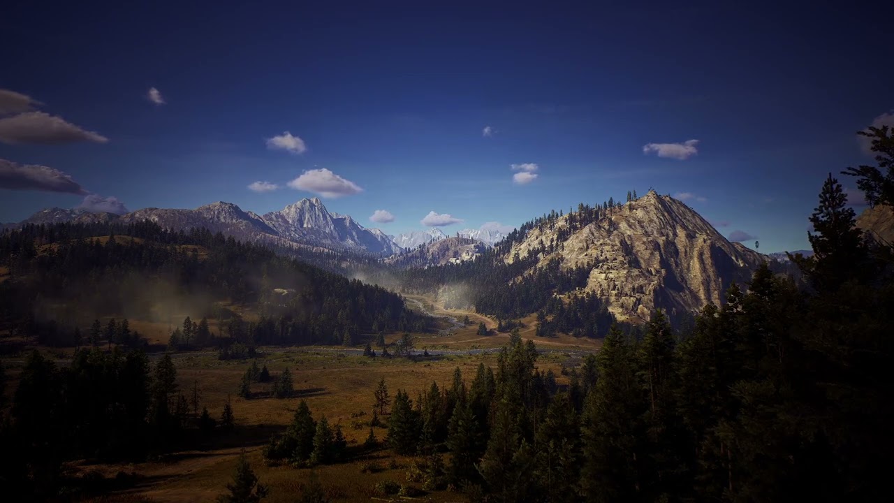 Symphony of Forest Bird Singing 🎶 • Relaxing soundscape for deep sleep