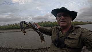 4 Days To Feed Family Mud Crabs (Family Visiting Interstate)