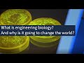 What is engineering biology? And why is it going to change the world?