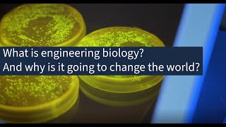 What is engineering biology? And why is it going to change the world?
