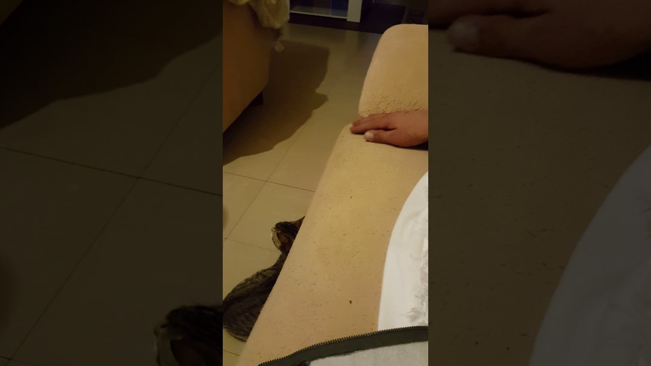 Malaa et ses giffles