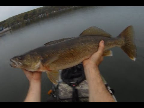 GIANT First Light Walleye Conesus Lake