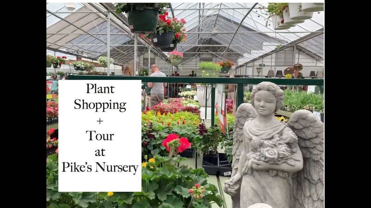 June 2019 Plant Shopping//Pikes Nursery Tour//Plant Haul YouTube
