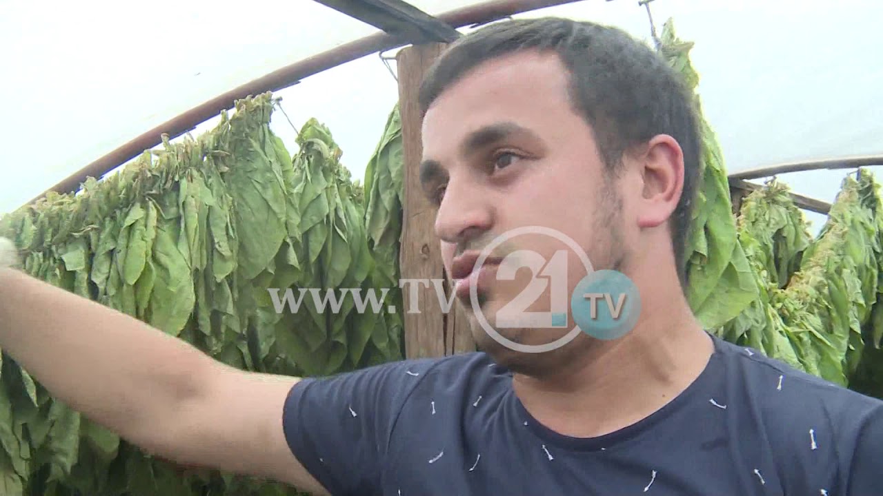 FSHATARËT E LUBOTENIT TË ZHGËNJYER , DUHANI ËSHTË PRODHIM I YNI, E PUNOJMË ME DJERS DHE SHUMË MUND