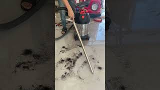 The Best Vacuum Cleaner To Keep Your Home Spotless  vacuumcleaner vacuum shorts amazon 16