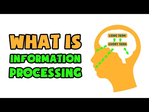 वीडियो: मनोविज्ञान में सूचना प्रसंस्करण सिद्धांत क्या है?