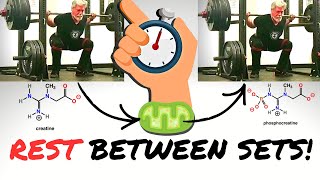 Candles, Car Batteries, Creatine, And Time