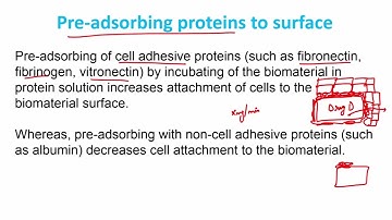 Protein Adsorption - II #swayamprabha #CH17SP