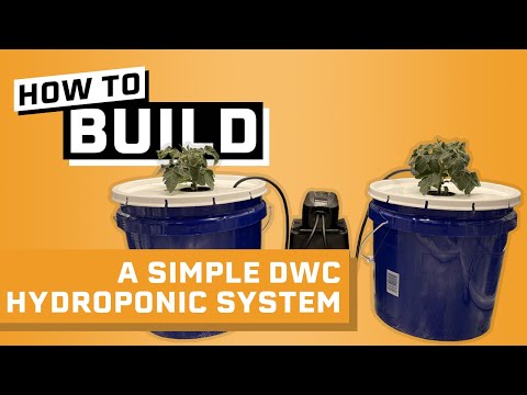 Video: DIY Hydroponic Deep Water Culture - Tìm hiểu về các chất dinh dưỡng trong Deep Water Culture