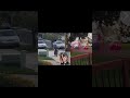 🚨 CAUGHT ON VIDEO — WOMAN ACCUSED OF CHASING CHILD WITH CAR 🚨 #crimegenre #truecrimes #police