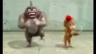 Funny Animals Fart dance