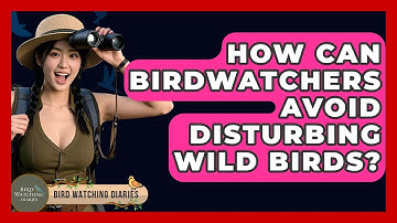 How Can Birdwatchers Avoid Disturbing Wild Birds? - Bird Watching Diaries