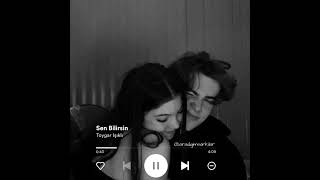 Toygar Işıklı - Sen Bilirsin Resimi