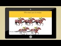 South African Horse racing - YouTube