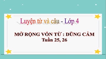 Dũng cảm Tuan 25 ,26 lop 4