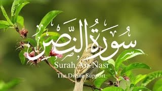 Surah Nasr(The Divine Support)| Surah Nasr with English Translation| By Wisdom for Islamic