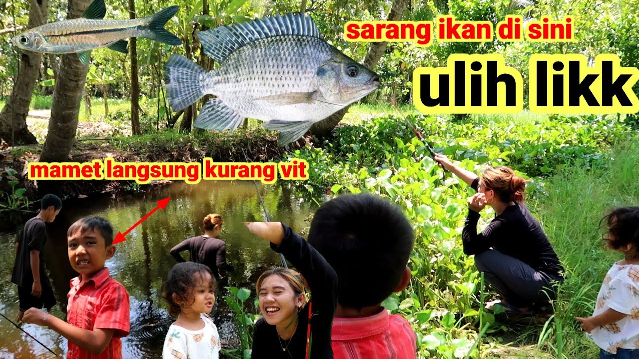 Mancing ikan susu pas panas jemeter bikin mamet K,O || sarang yang tersembunyi
