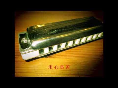 張宇  用心良苦  藍調口琴 十孔口琴  key : A Ab