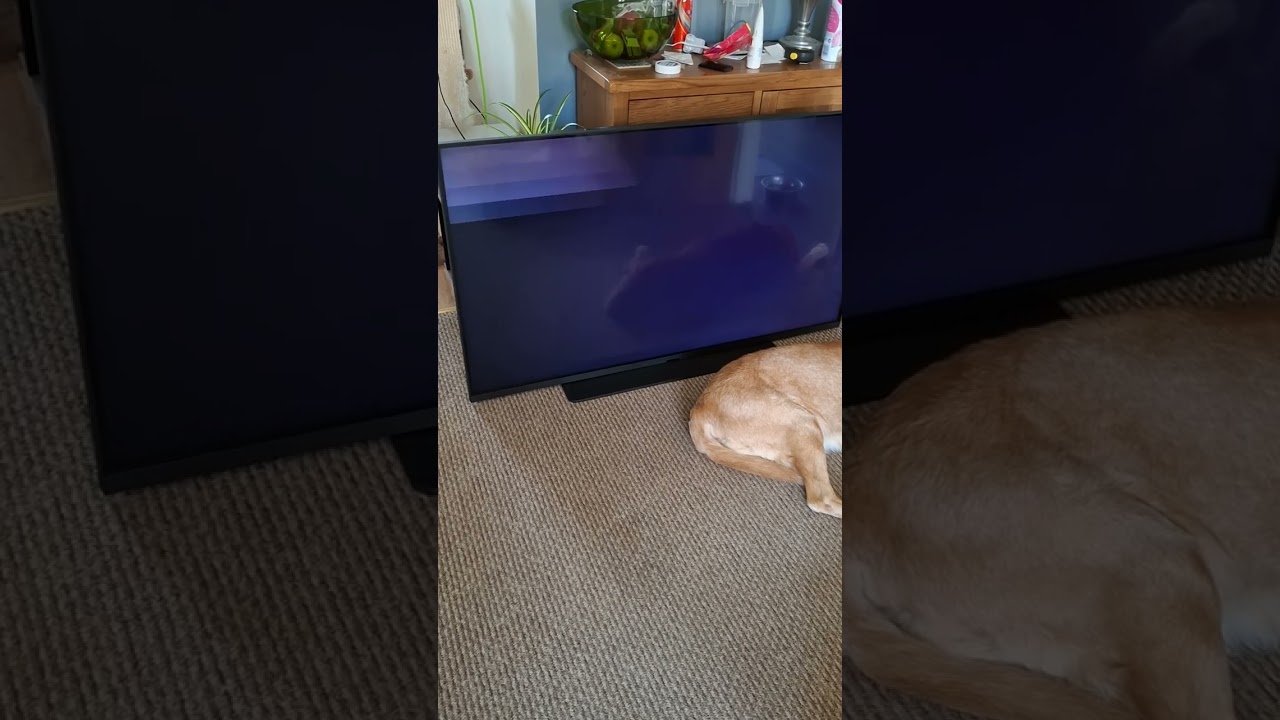 Sky glass Air 55 are faulty .