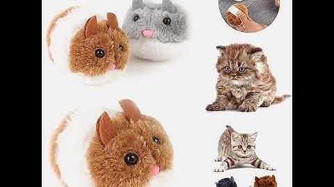 😂Starcy Interactive Cat Toys - Plush Little Moving Mouse