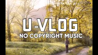 Bensound - Small guitar 🎶  ( U-VLOG NO COPYRIGHT MUSIC)