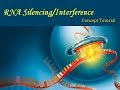 RNA Silencing | Biotechnology & its Applications Part 2 | Biology Class 12 | HINDI