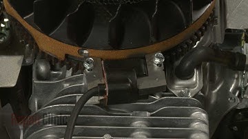 Briggs & Stratton Riding Mower Engine Ignition Coil #799650