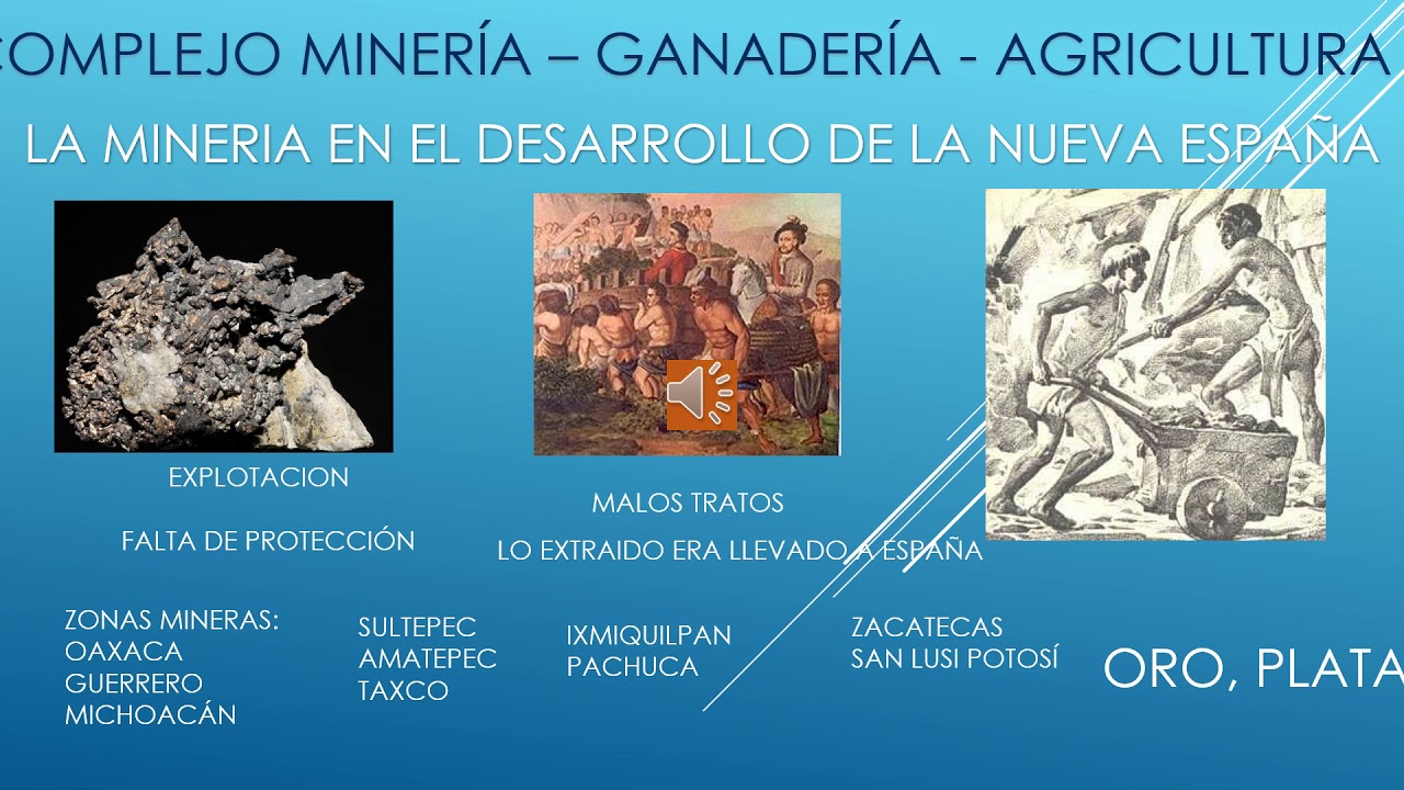 ORGANIZACION POLITICA Y ECONOMICA DE LA COLONIA YouTube