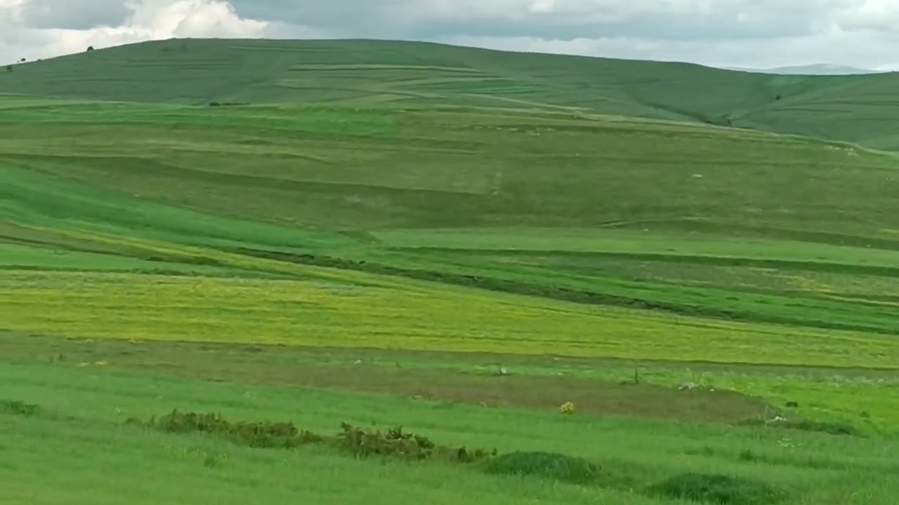 koyunpınari köyü 2023 Haziran