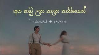 අප හමු උන තැන තනියෙන් | Apa Hamu Unu Thana  (Slowed Reverb)