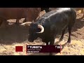 Sorteo toros Nuñez del Cuvillo en Sevilla, domingo 9 de abril 2023