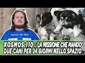 Kosmos 110 : la missione sovietica che mandò cani nello spazio per 24 giorni