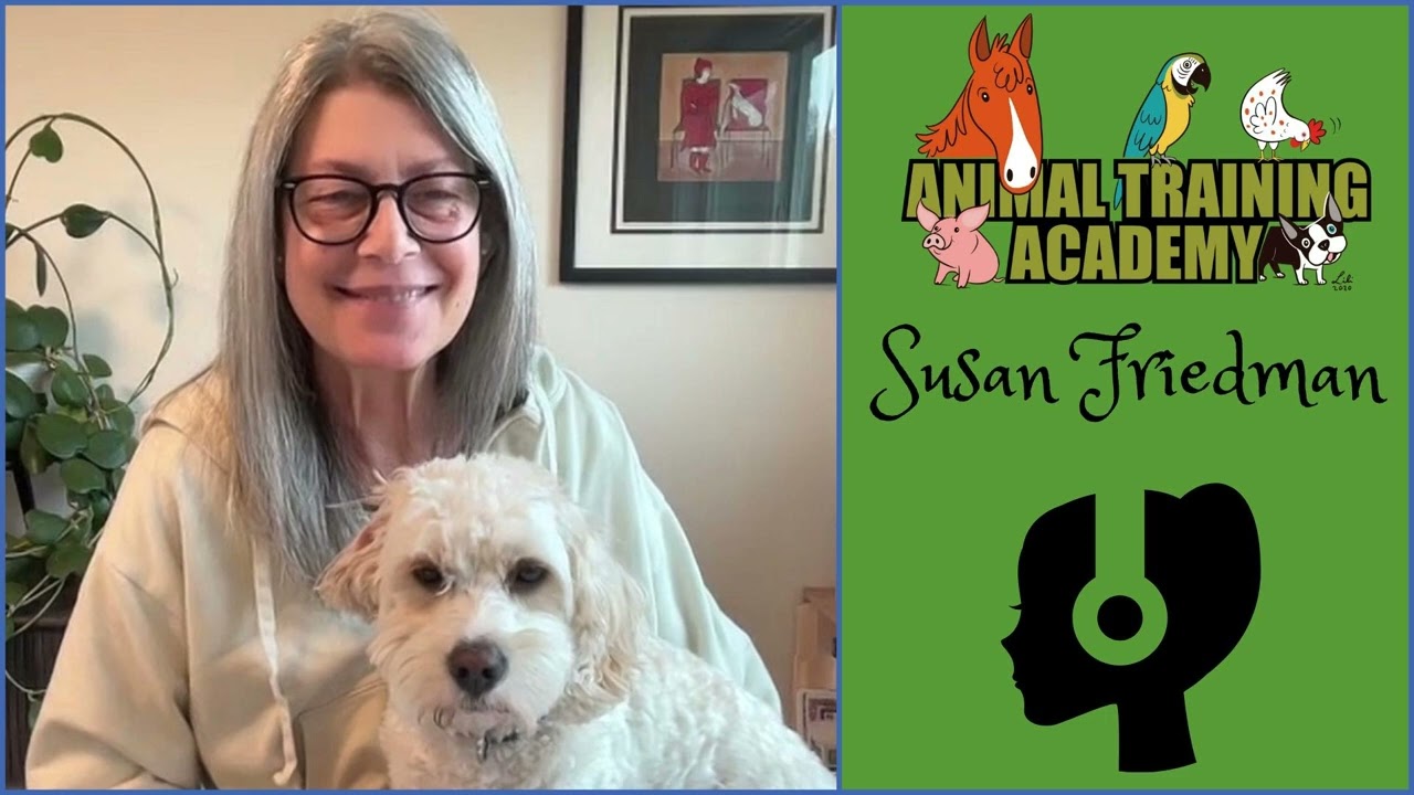 Honoring the No, Shaping the Yes with Dr. Susan Friedman [Episode 250]