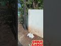 *GEULIS CARGO TOWARDS BENEFITS* _PENGECETAN MAKAM KI GEDE NAGASARI_