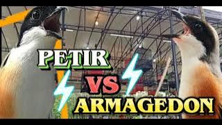 MASTERAN CENDET PETIR VS ARMAGEDON