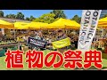 【塊根】全国のイケてる植物屋さん大集合!!