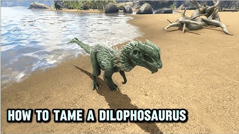 Taming the Dilophosaurus! | Beginner