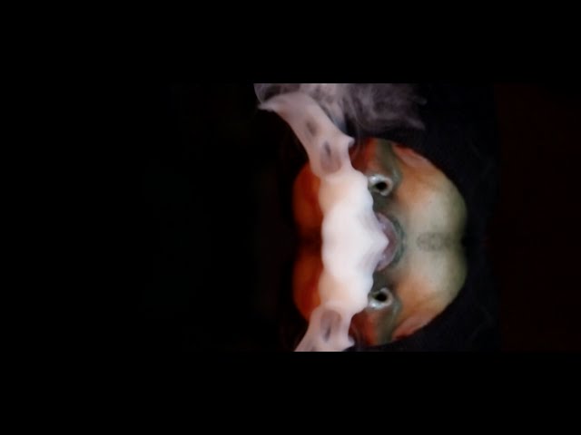Watch Voodoo Black - Who You Be (Prod. Clem Beatz') on YouTube Watch Voodoo Black - Who You Be (Prod. Clem Beatz') on YouTube