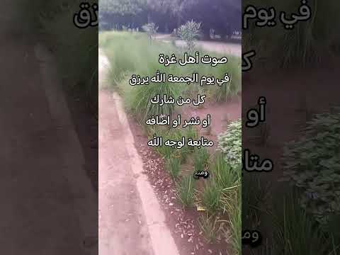 صوت أهل غزة لاتهرب من كلمة الله الله اللهم صلي على نبينا محمد لا اله الا الله اكسبلور لايك