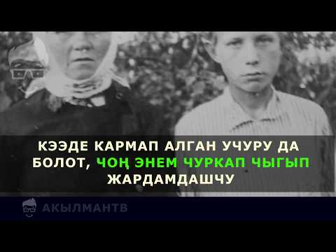 Video: Чычканды кантип үйрөтсө болот