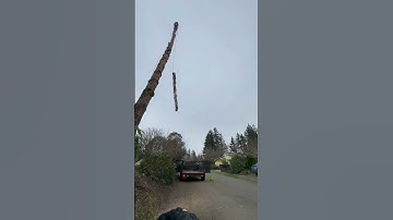 Negative Rig #rigging #rope #treework #treeworker #arborist #olympia #pnw